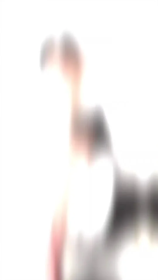 一品道门免费高清视频